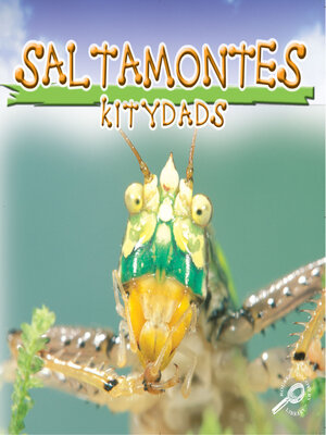 cover image of Saltamontes (Katydids)